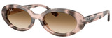Ray-Ban RB2223F 144951