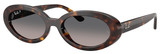 Ray-Ban RB2223F 902/M3