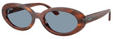 Ray-Ban RB2223F 954/56