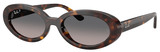 Ray-Ban RB2223 902/M3