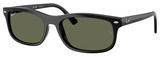 Ray-Ban RB2224F 601/58