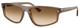 Transp Lt Brown - Clear Grad Brown