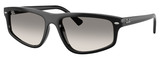 Ray-Ban RB2225 901/32