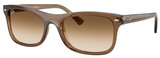 Ray-Ban RB2226 664051
