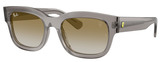 Ray-Ban RB2228M F7046E