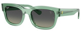 Ray-Ban RB2228M F70911