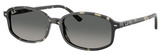 Ray-Ban RB2232F 133371