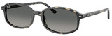 Ray-Ban RB2232 133371