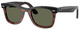 Black On Havana - Polar Green