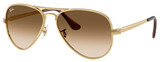 Ray-Ban RB3925 Aviator Max 001/51