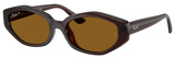 Dark Brown - Dk Brown Polar