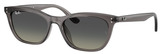 Transp Dk Grey - Grad Grey