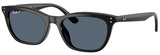 Black - Blue Polarized