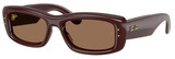 Transp Dark Brown - Dark Brown