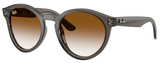Transp Dk Grey - Clear Grad Brown