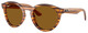 Striped Havana - Dark Brown Polar