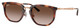 Striped Havana - Lt Bro Grad Dk Bro