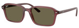 Ray-Ban Junior RJ9131S 7197/3