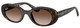 Havana - Gradient Brown