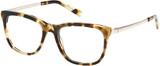 Abercrombie & Fitch AF50065 056