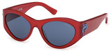 Emilio Pucci EP0249 66V