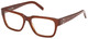 Shiny Dark Brown - Clear