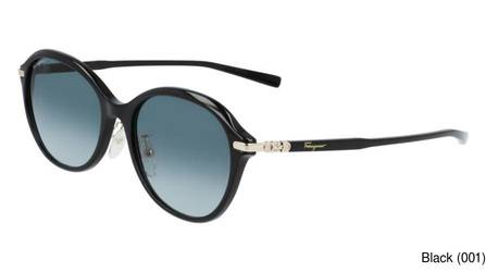 Ferragamo Replacement Lenses 65187