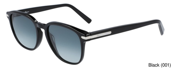 Ferragamo Replacement Lenses 65195