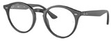 Ray-Ban Eyeglasses RX2180VF 2000