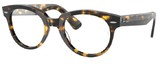 Ray-Ban Eyeglasses RX2199VF 8116