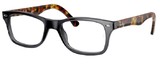 Ray Ban Eyeglasses RX5228 5629