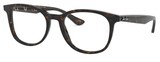 Ray-Ban Eyeglasses RX5356 2012