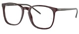 Ray-Ban Eyeglasses RX5387 8139