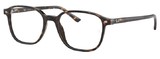 Ray-Ban Eyeglasses RX5393 LEONARD 2012
