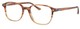 Gradient Light Brown Havana / Clear