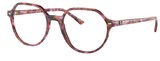 Ray Ban Eyeglasses RX5395 THALIA 8175