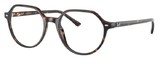 Ray-Ban Eyeglasses RX5395 THALIA 2012