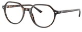Ray-Ban Eyeglasses RX5395F THALIA 2012