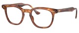 Ray-Ban Eyeglasses RX5398 EAGLEEYE 2144