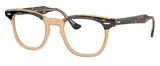 Ray-Ban Eyeglasses RX5398 EAGLEEYE 8109