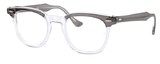 Ray Ban Eyeglasses RX5398 EAGLEEYE 8111