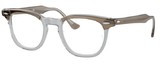 Ray-Ban Eyeglasses RX5398 EAGLEEYE 8112