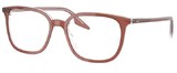 Ray-Ban Eyeglasses RX5406 8171