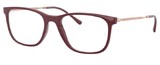 Ray-Ban Eyeglasses RX7244 8099