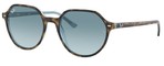 Ray-Ban Sunglasses RB2195 THALIA 13163M