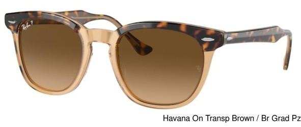 Ray-ban Replacement Lenses 72710