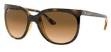 Ray-Ban Sunglasses RB4126 CATS 1000 710/51