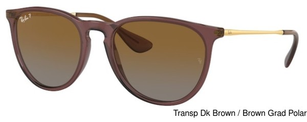 Ray-ban Replacement Lenses 73204