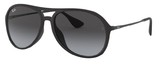 Ray-Ban Sunglasses RB4201 ALEX 622/8G