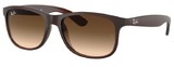 Ray Ban Sunglasses RB4202 ANDY 607313